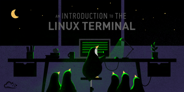 Basic Linux Commands for Beginners