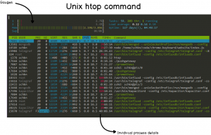 htop-command