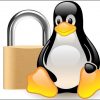 linux